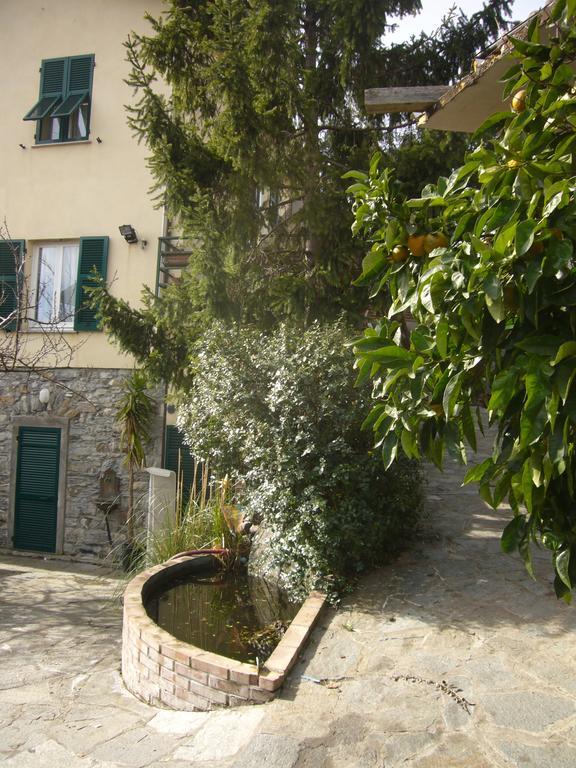 Agriturismo Olivarancio Leivi Eksteriør bilde