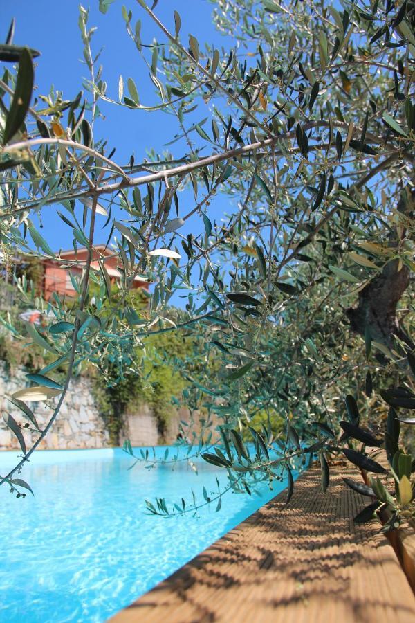 Agriturismo Olivarancio Leivi Eksteriør bilde